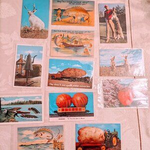 VTG Lot of 12 Exaggeration Postcards Linen & Standard Plastic Covers Most Unused